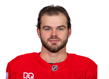 Alex DeBrincat headshot