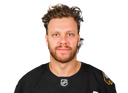David Pastrnak headshot